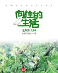 向往的生活之娱乐大师小说