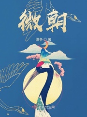 微醺小说