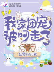 《团宠我家夫人谁敢惹》