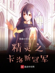 精灵之卡洛斯冠军小说免费阅读全文