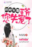 您失宠了 小说