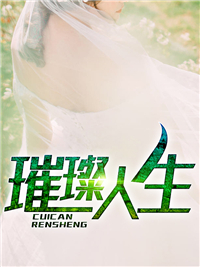 上门龙婿叶辰免费阅读全文完整