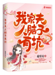我家夫人脑子有坑魔