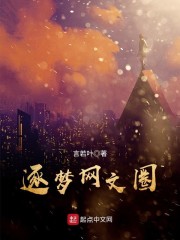 精灵宝可梦网文